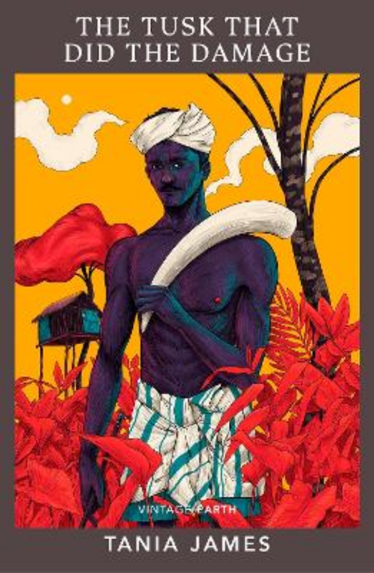 Picture of Tusk That Did the Damage