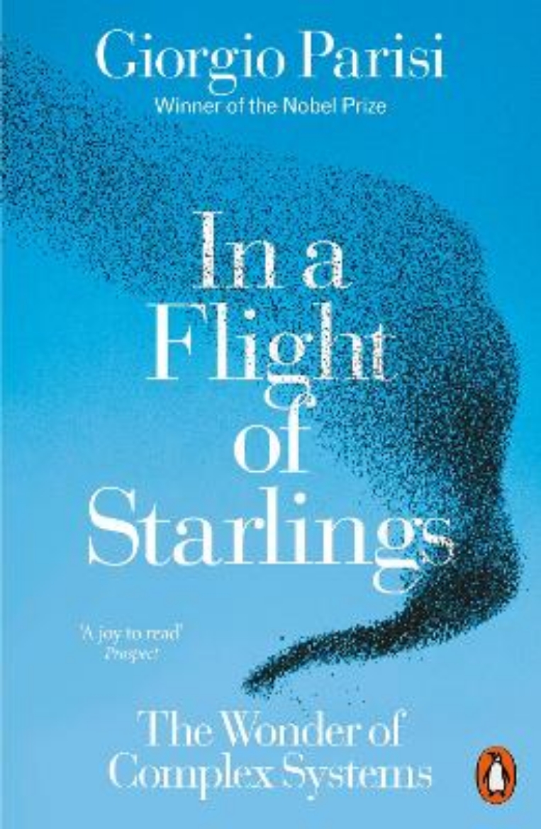 Picture of In a Flight of Starlings