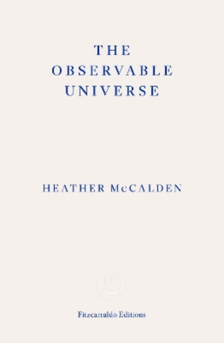 Picture of The Observable Universe