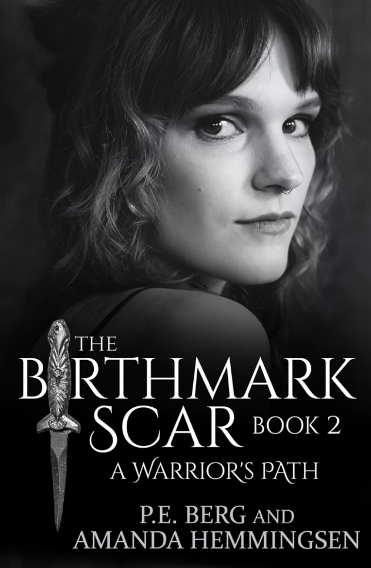 Picture of The Birthmark Scar, Book 2: A Warrior's Path