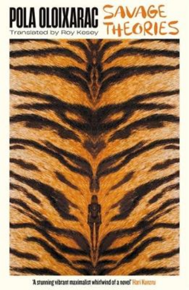 Picture of Savage Theories