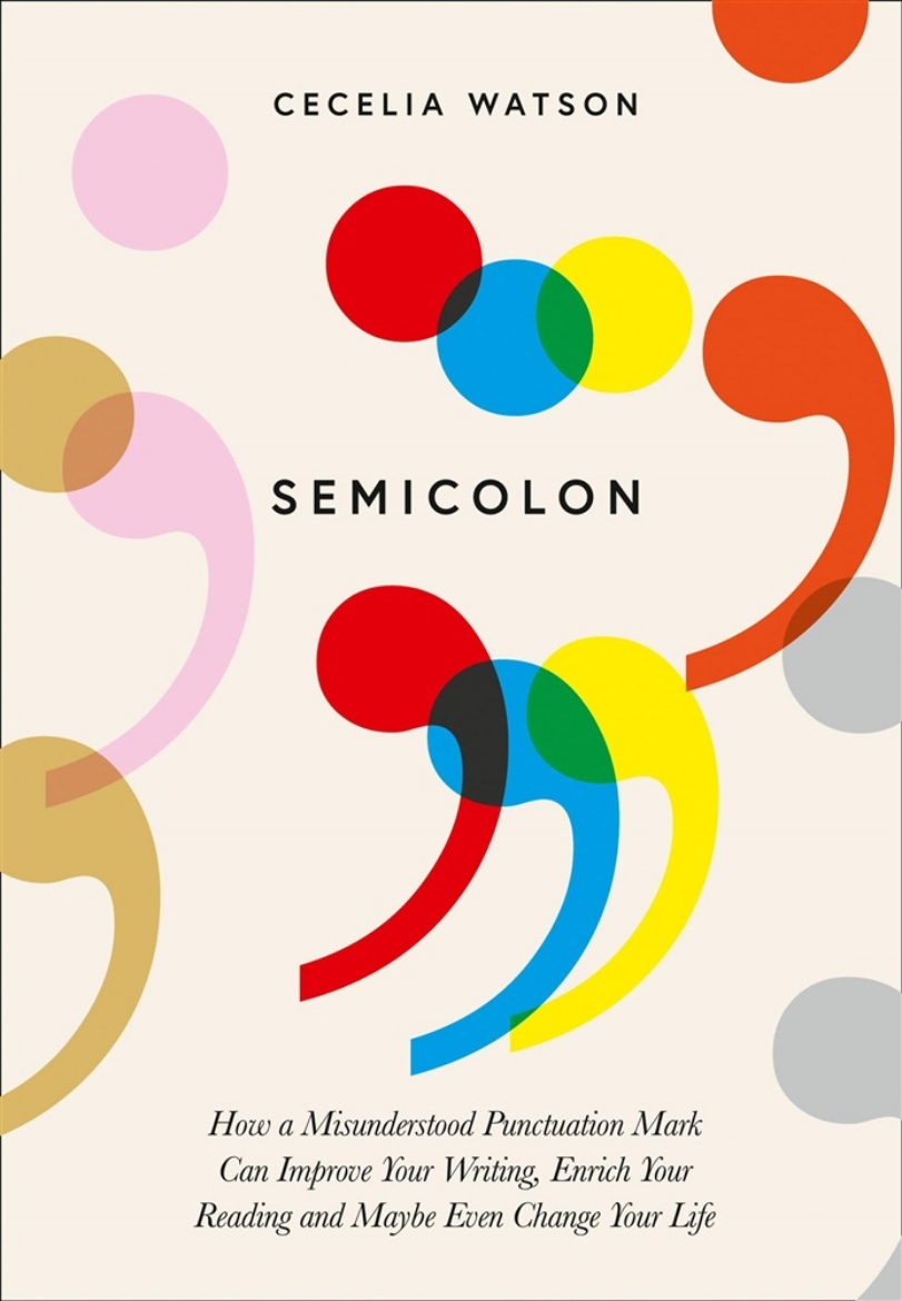 Picture of Semicolon