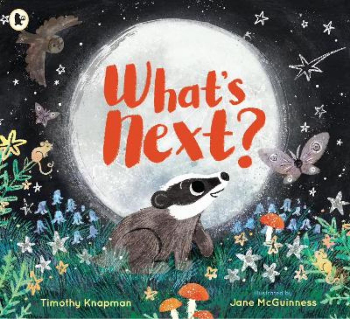 Picture of What's Next?: A tender father-and-son adventure for 3-7 year olds to share with Dad, perfect for bedtime