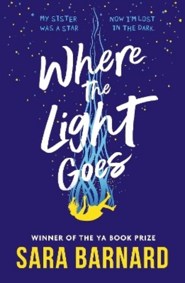 Picture of Where the Light Goes
