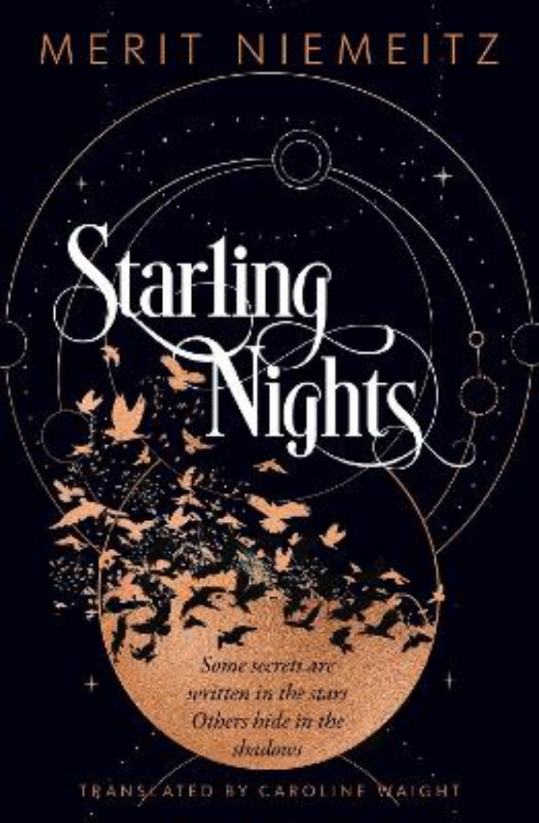 Picture of Starling Nights