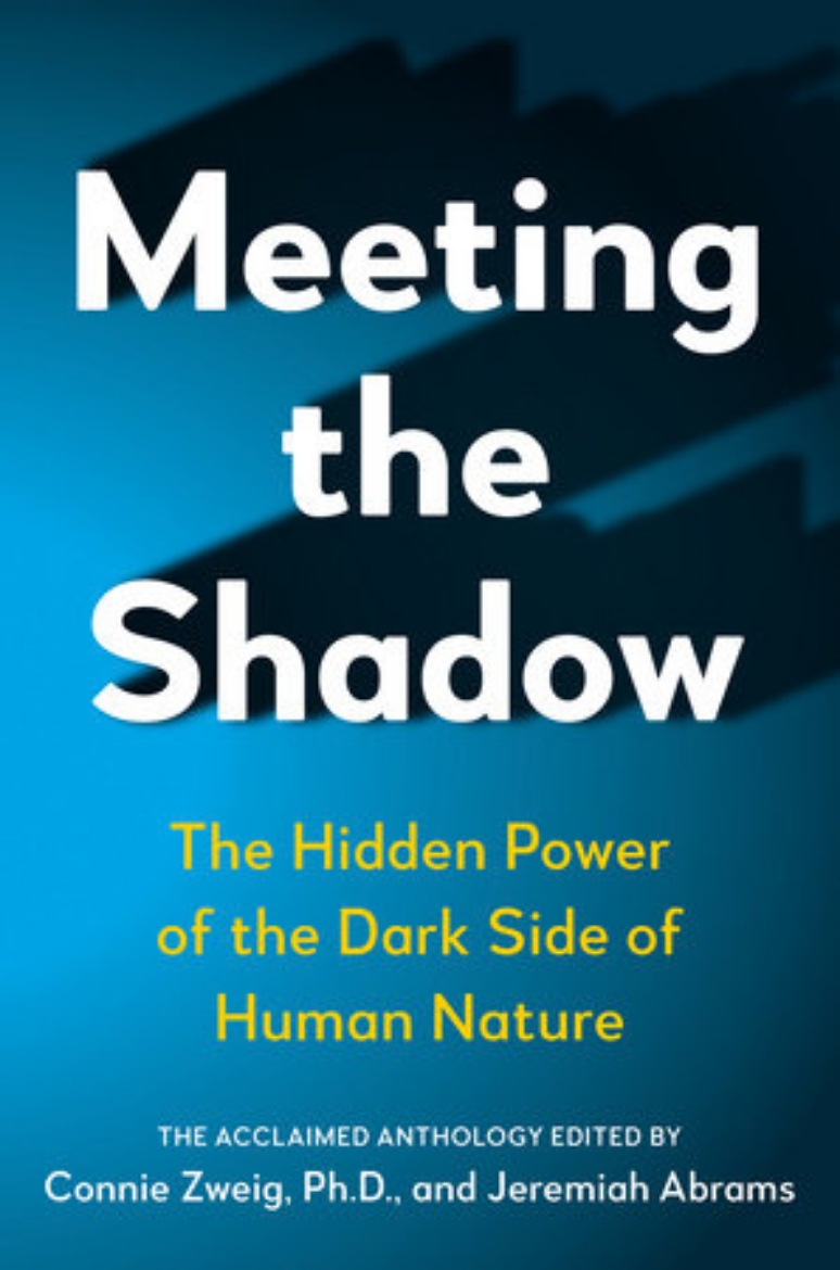 Picture of Meeting the shadow - the hidden power of the dark side of human nature