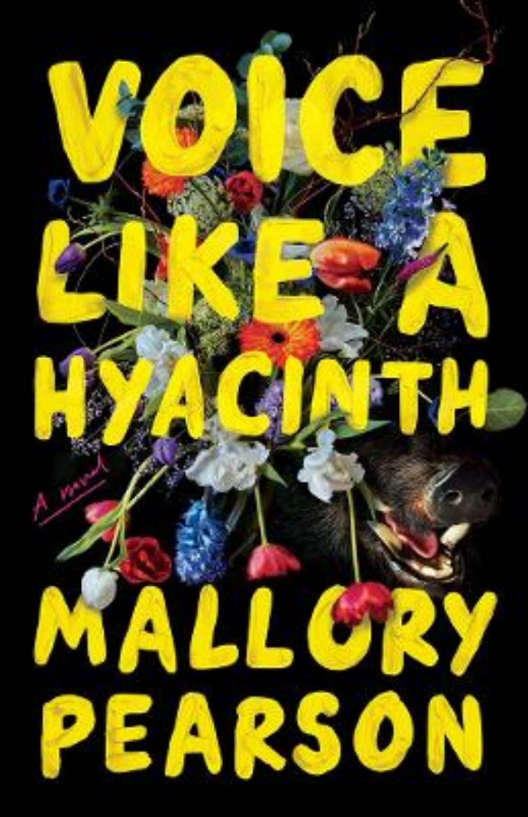 Picture of Voice Like a Hyacinth: A Novel