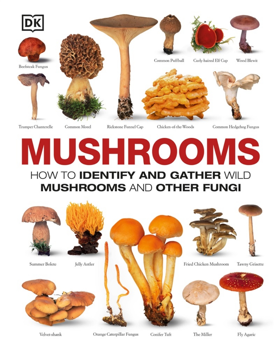 Picture of Mushrooms: How to Identify and Gather Wild Mushrooms and Other Fungi