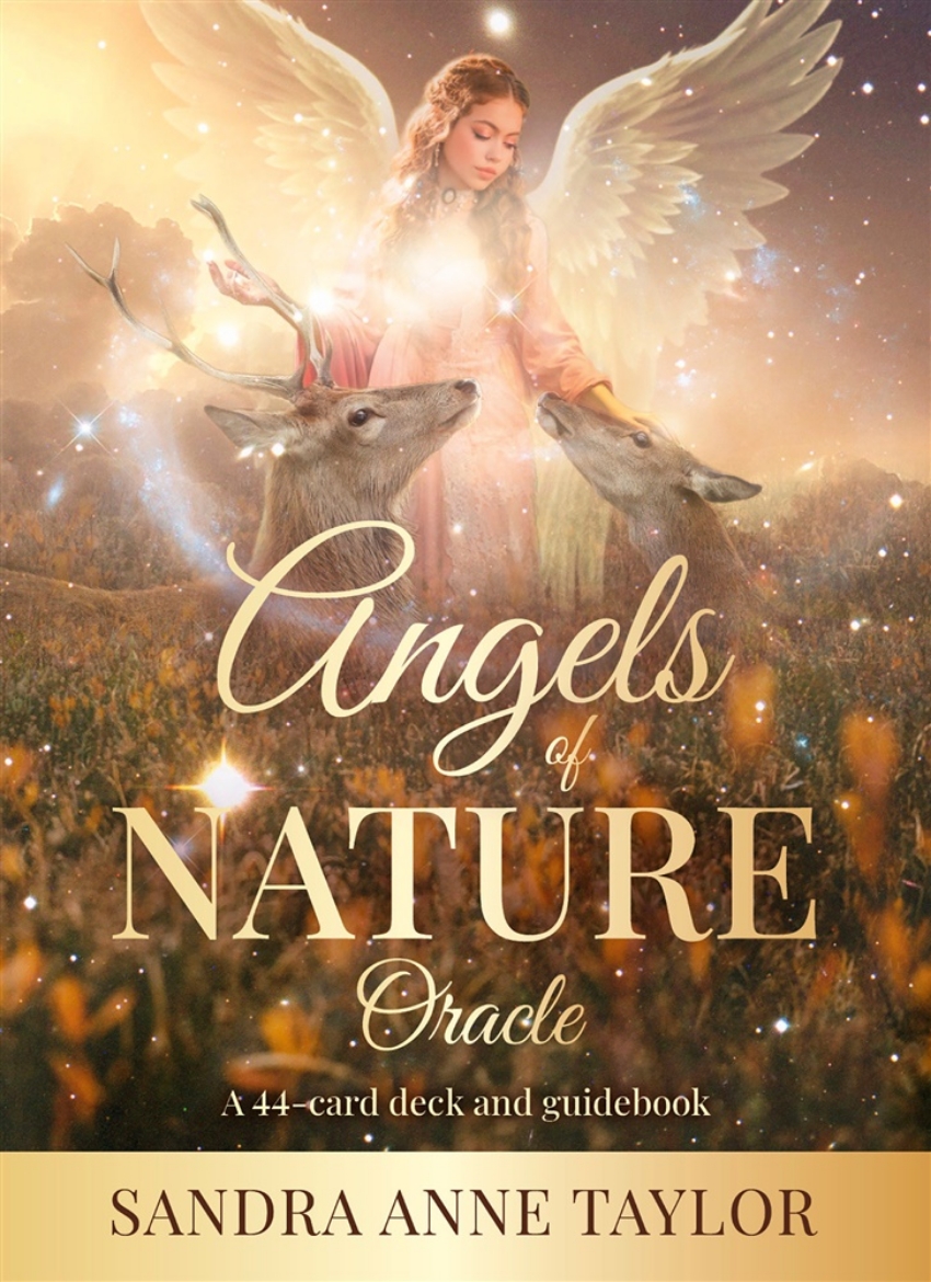 Picture of Angels of Nature Oracle: A 44-Card Deck and Guidebook