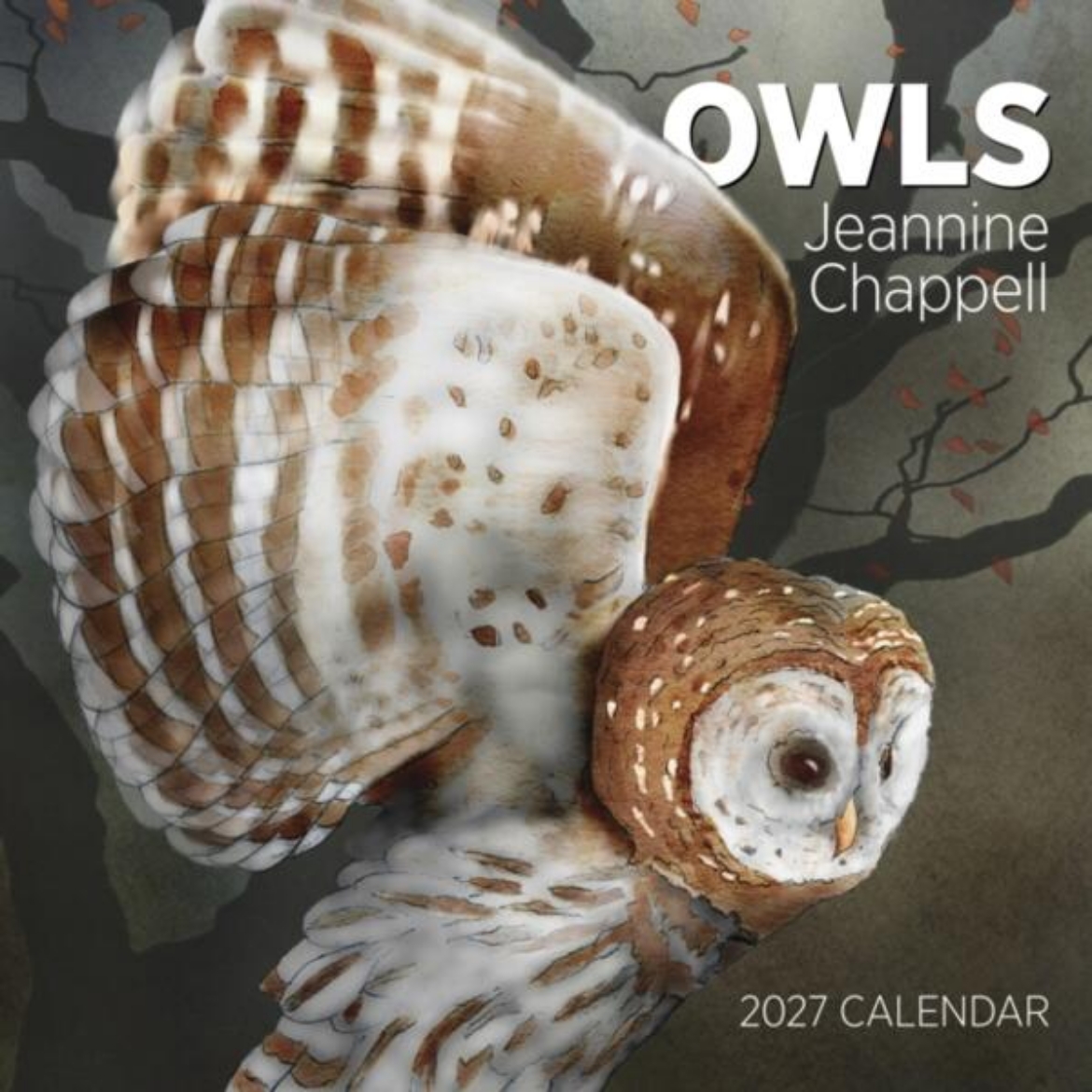 Picture of Owls: Jeannine Chappell : 2027 Wall Calendar