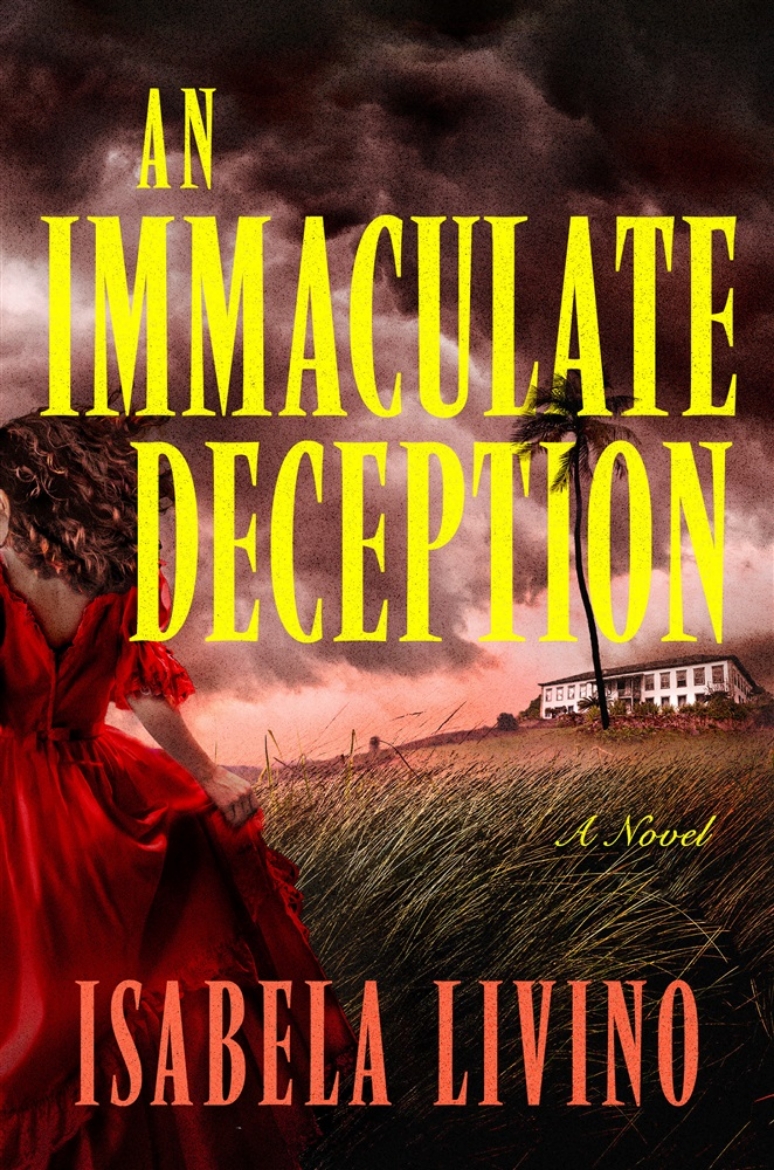 Picture of An Immaculate Deception: A Novel