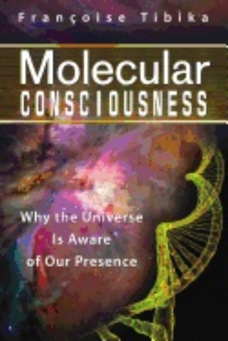 Picture of Molecular Consciousness : Why the Universe Is Aware of Our Presence