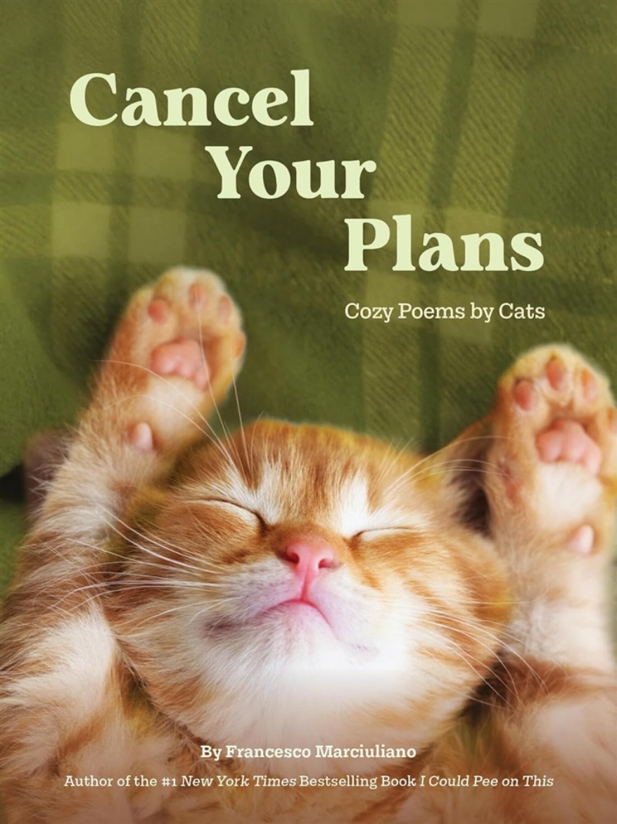 Picture of Cancel Your Plans