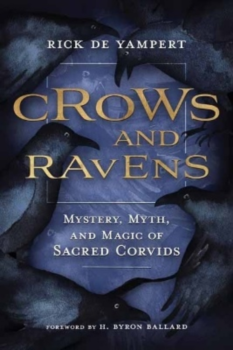 Picture of Crows and Ravens