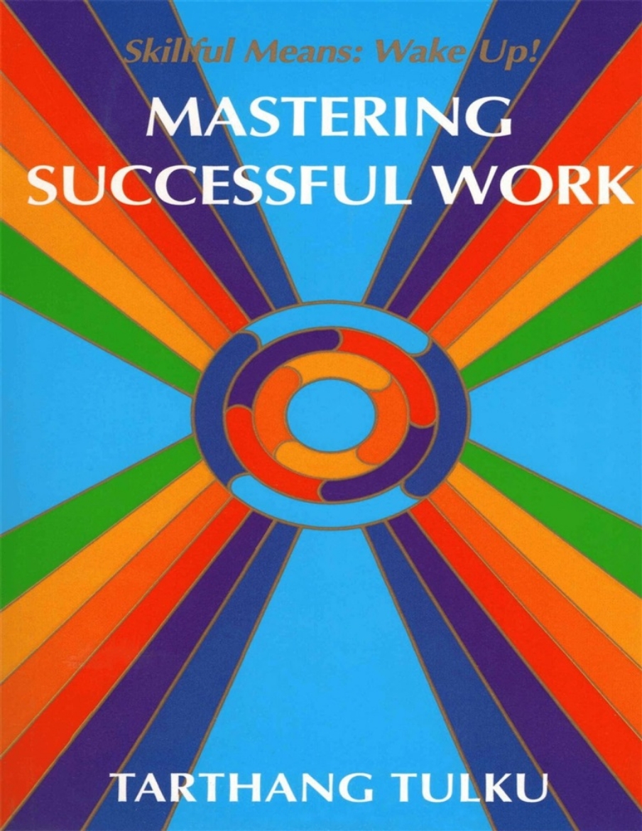 Picture of Mastering Successful Work: Skillful Means: Wake Up!