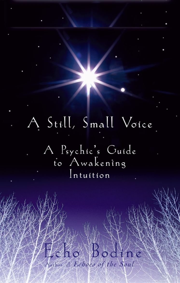 Picture of Still, Small Voice *Bodine