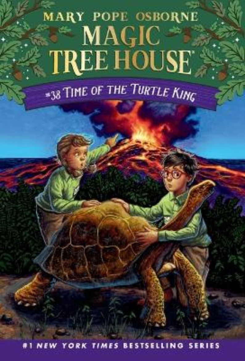 Picture of Time of the Turtle King