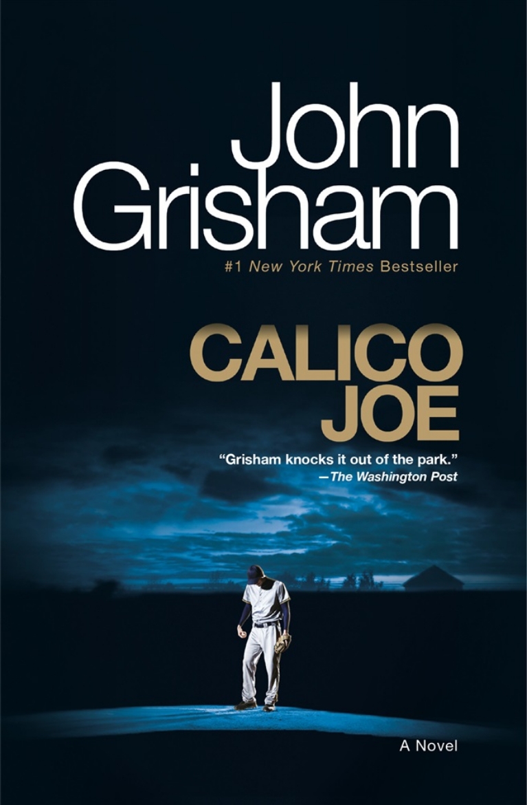 Picture of Calico Joe: A Novel