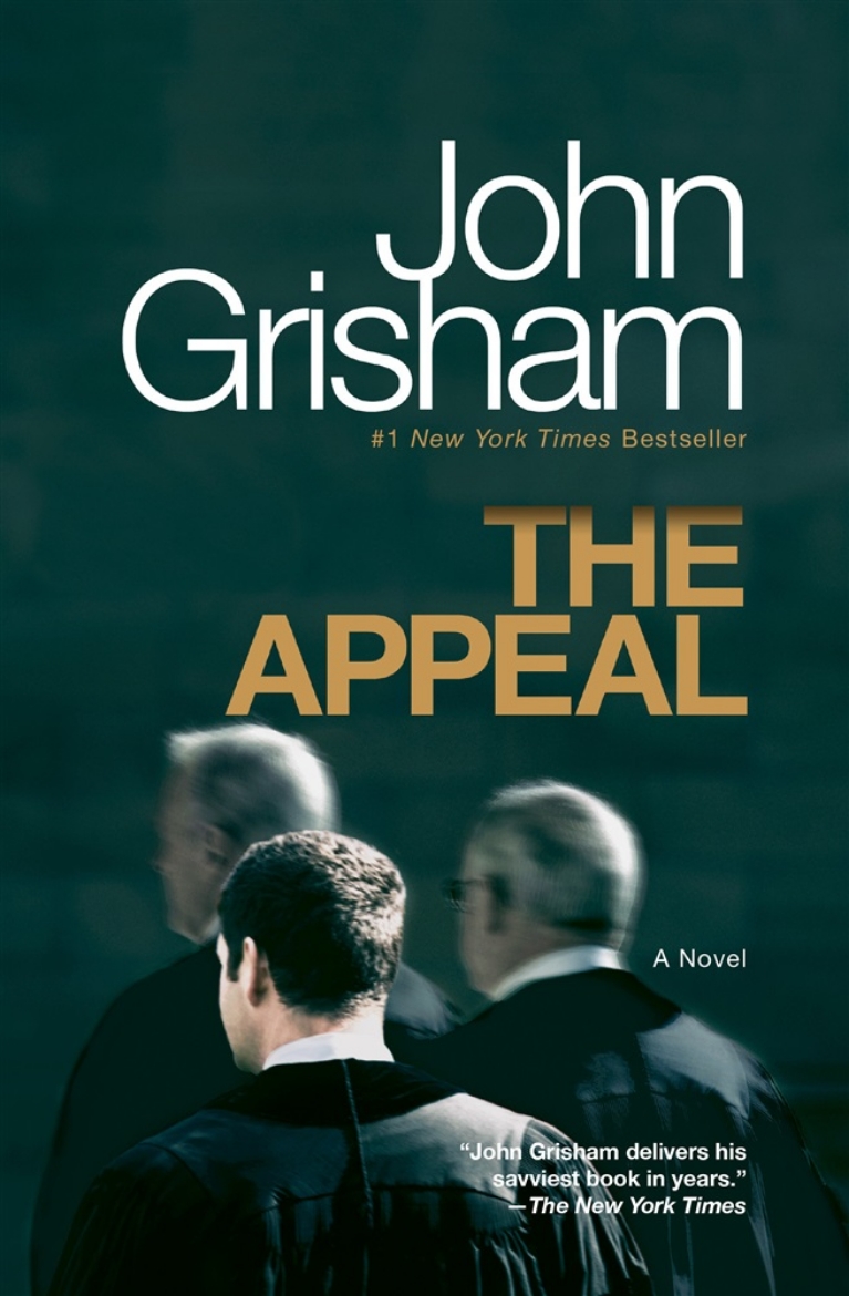Picture of The Appeal: A Novel