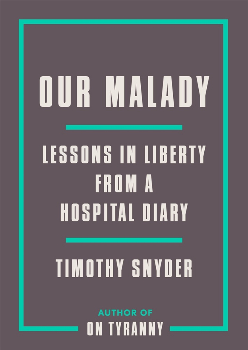 Picture of Our Malady