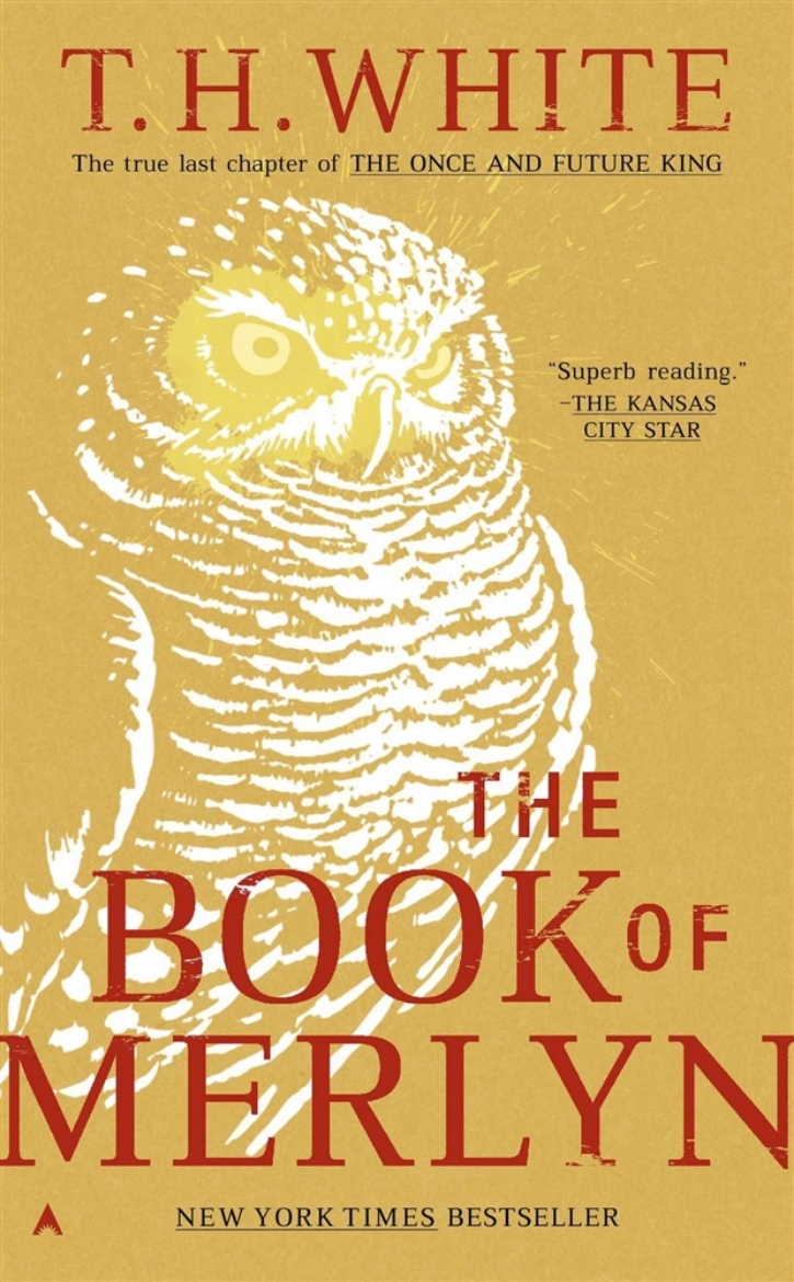 Picture of The Book of Merlyn