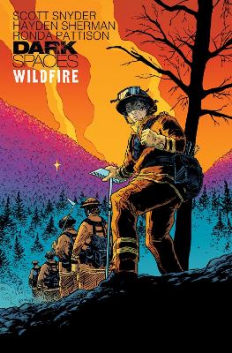 Picture of Dark Spaces: Wildfire