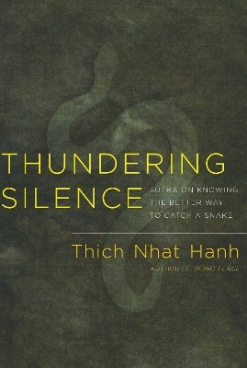 Picture of Thundering silence