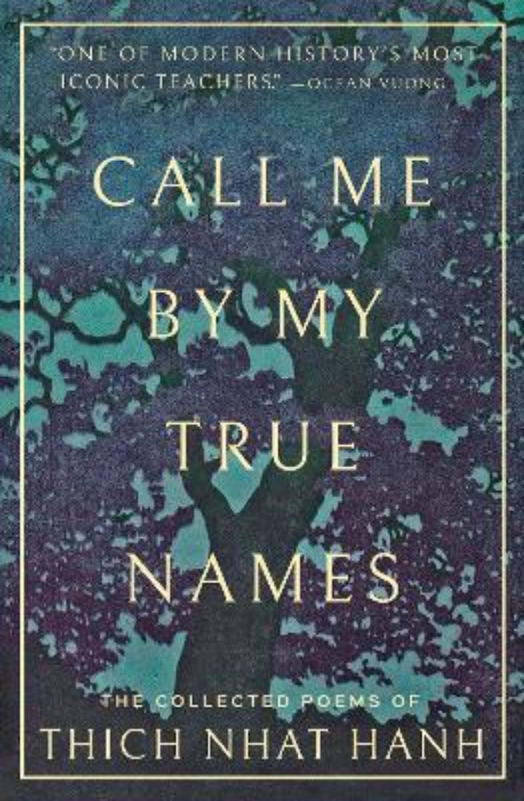 Picture of Call Me By My True Names: The Collected Poems of Thich Nhat Hanh
