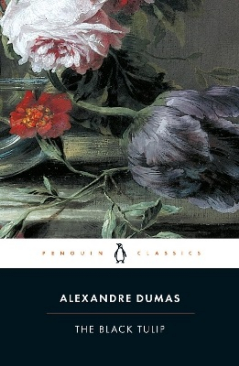Picture of Black tulip
