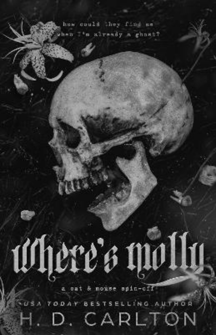 Picture of Where's Molly: A Cat & Mouse Spin-Off