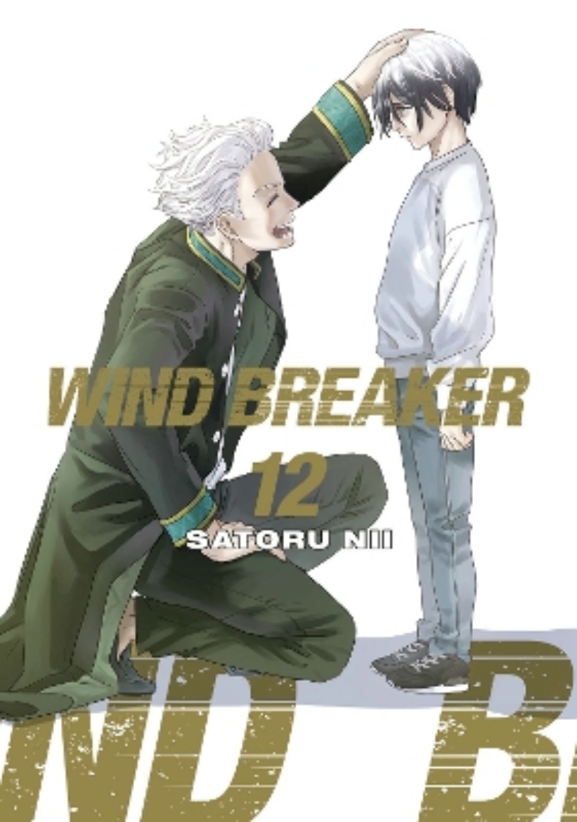Picture of WIND BREAKER 12