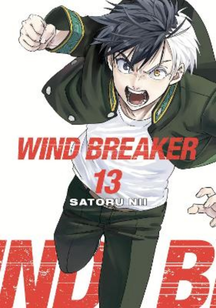 Picture of WIND BREAKER 13