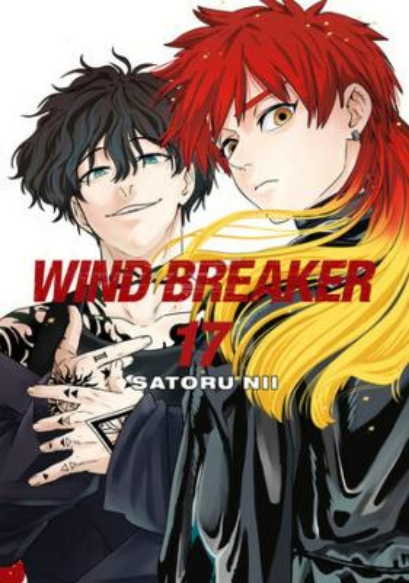 Picture of WIND BREAKER 17
