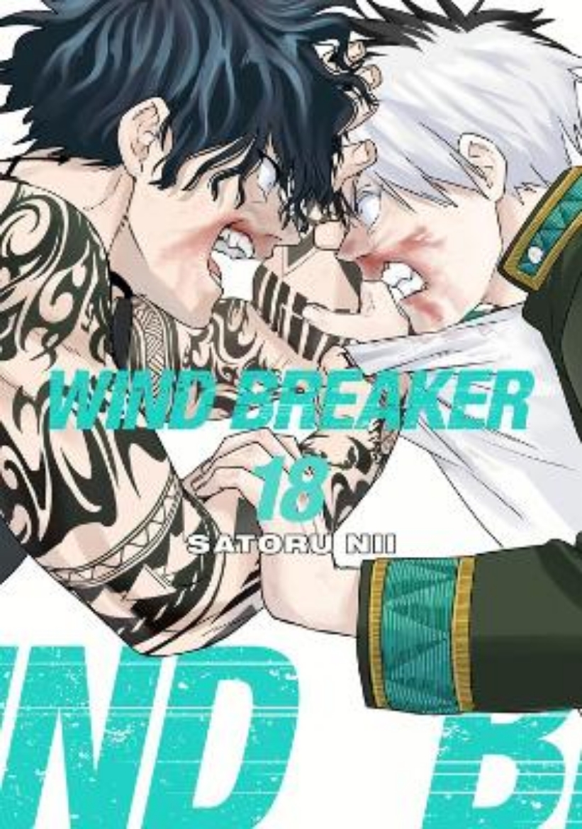 Picture of WIND BREAKER 18