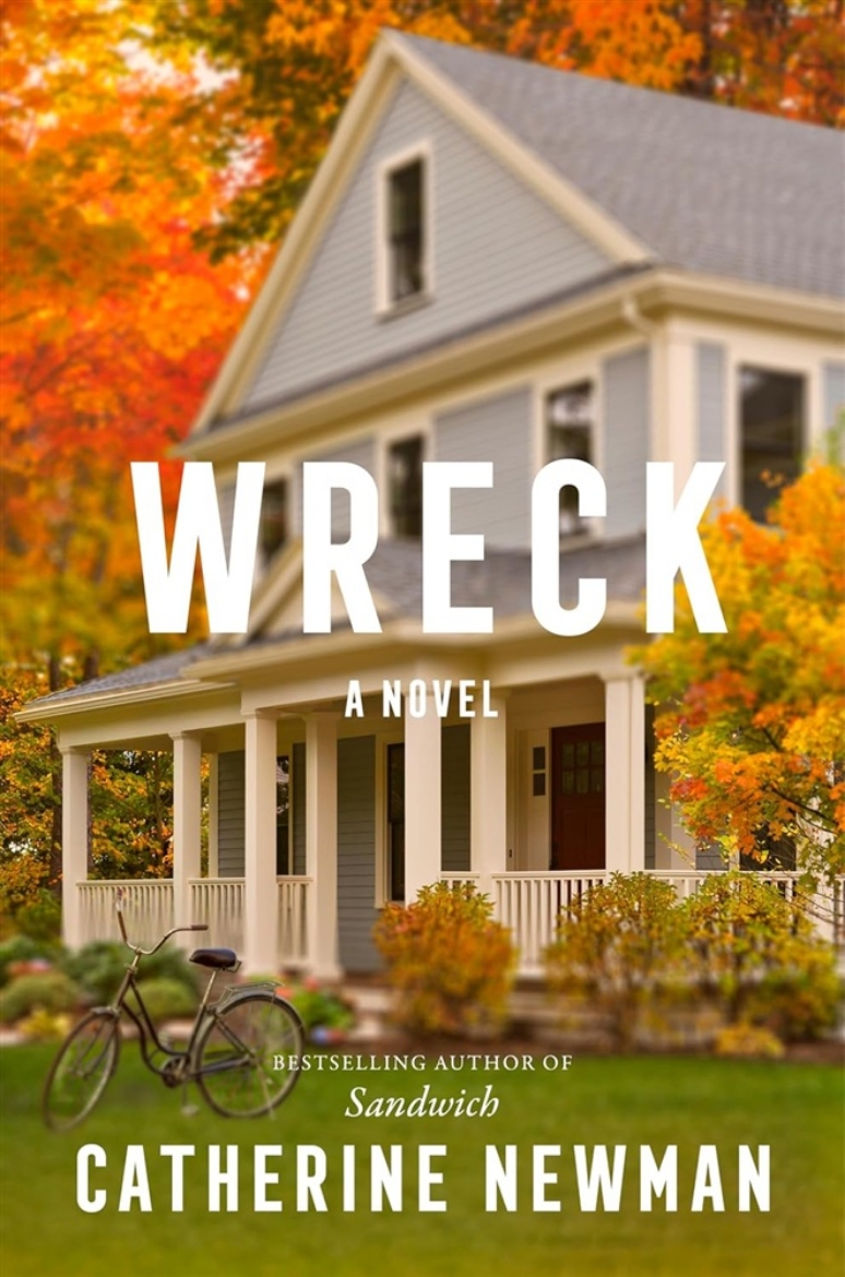 Picture of Wreck: A Novel