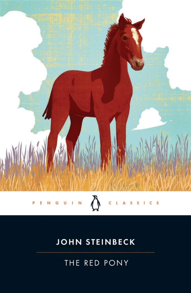Picture of The Red Pony