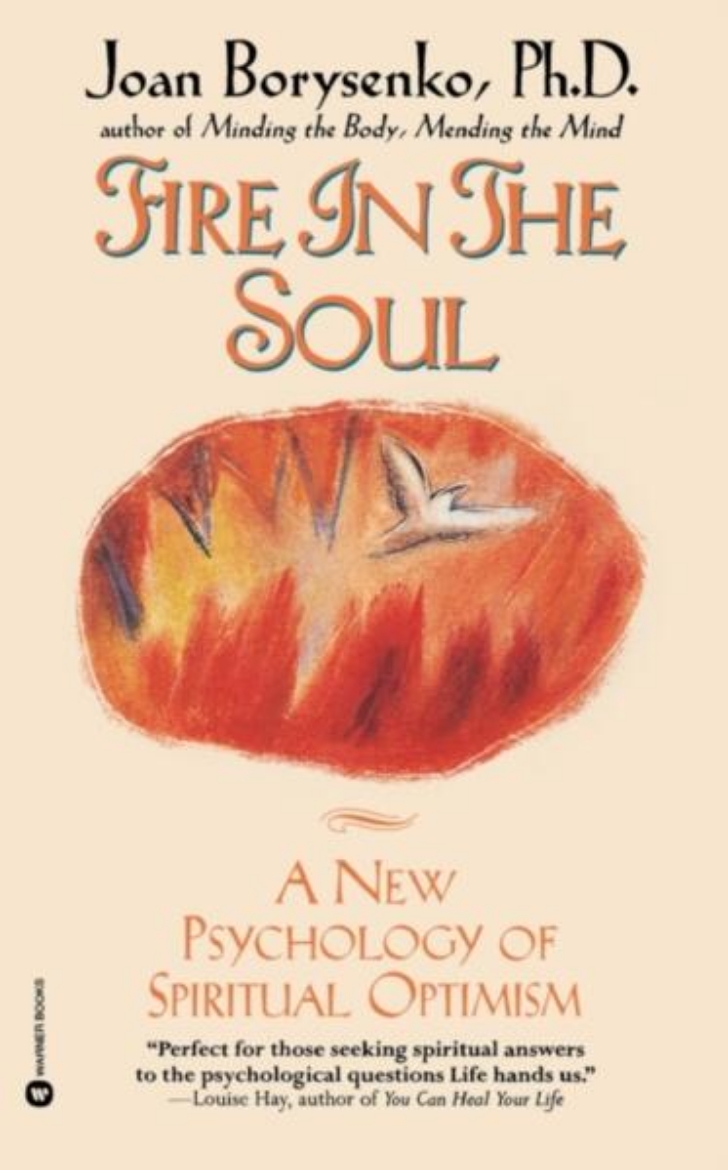 Picture of Fire In The Soul: A New Psychology Of Spiritual Optimism