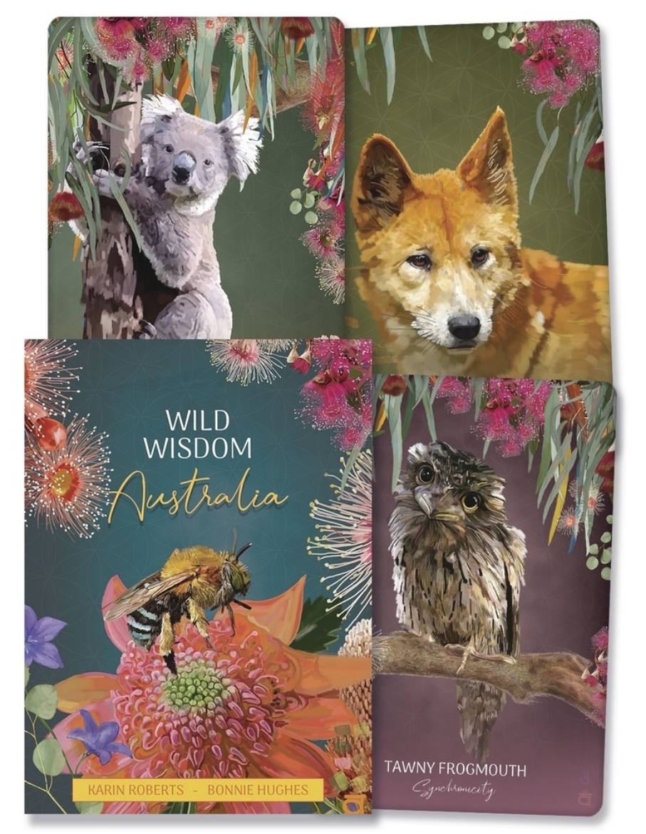Picture of Wild Wisdom Australia